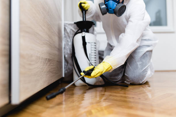 Best Mosquito Control Services  in White Mountain Lake, AZ