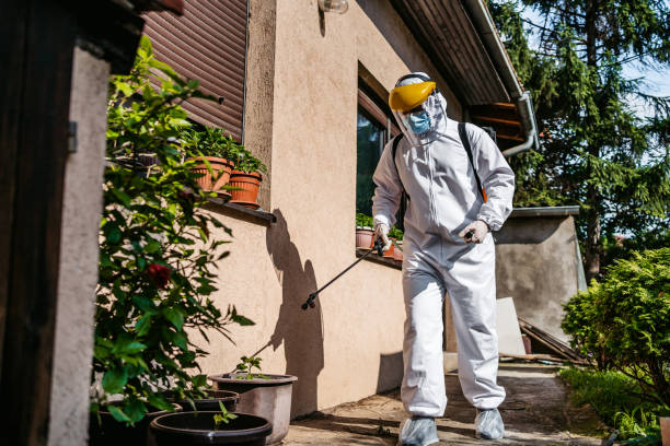 Best Affordable Pest Control Services  in White Mountain Lake, AZ