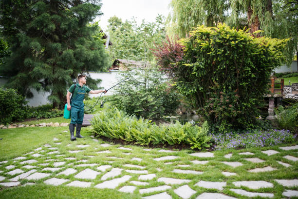 Best Wildlife Control Services  in White Mountain Lake, AZ