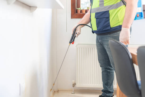 Reliable White Mountain Lake, AZ Pest Control Solutions